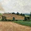 Harvest Fields, Duton Hill, near Dunmow