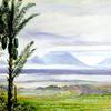 爪哇省淡芒岗火山，前景为糖棕榈