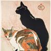 两只猫
