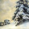 下雪后