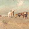 The Approaching Herd
