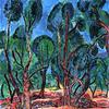 Olive Grove near Levanto