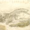 睡猫